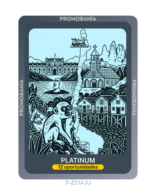 Ilustración PLATINUM - Código P-Z31AJU (x12 Oportunidades)