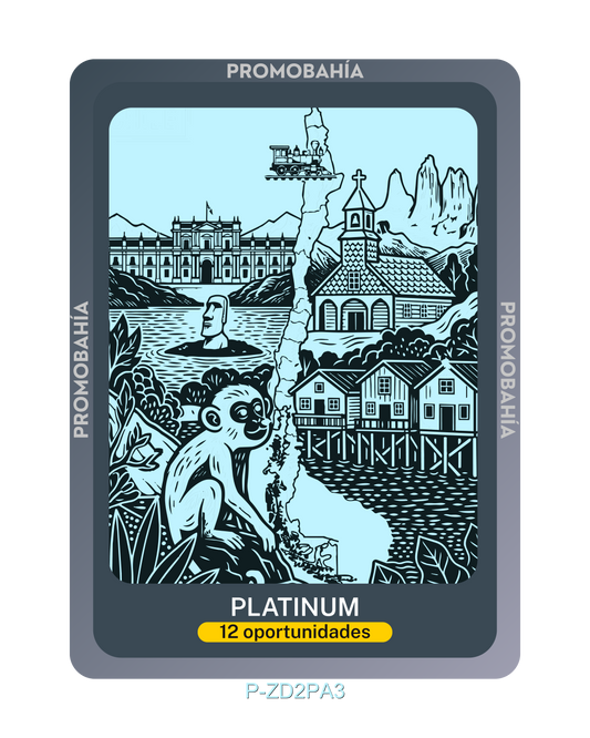 Ilustración PLATINUM - Código P-ZD2PA3 (x12 Oportunidades)