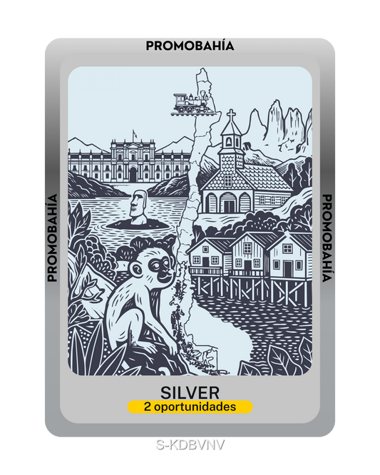 Ilustración SILVER - Código S-KDBVNV (x2 Oportunidades)
