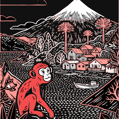 PB-LZDZ | Estampilla Pucon